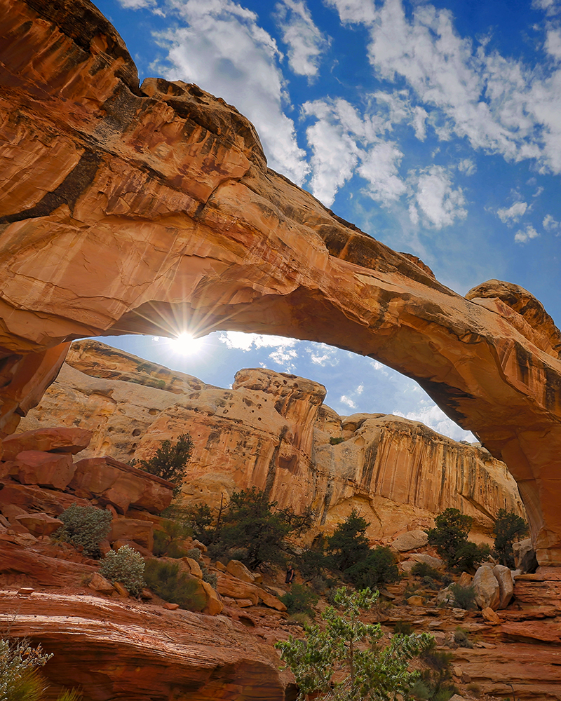 Hickman's Bridge Day