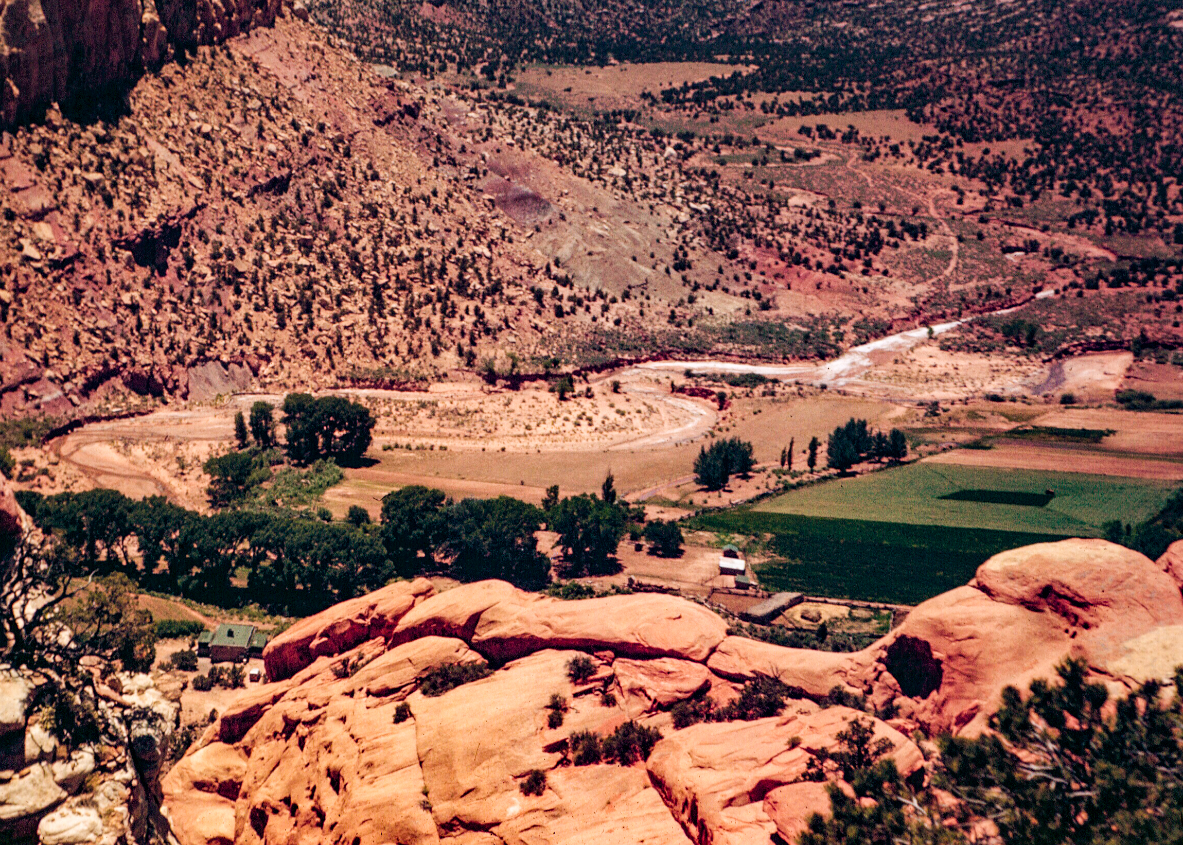 Ranch Chimney
