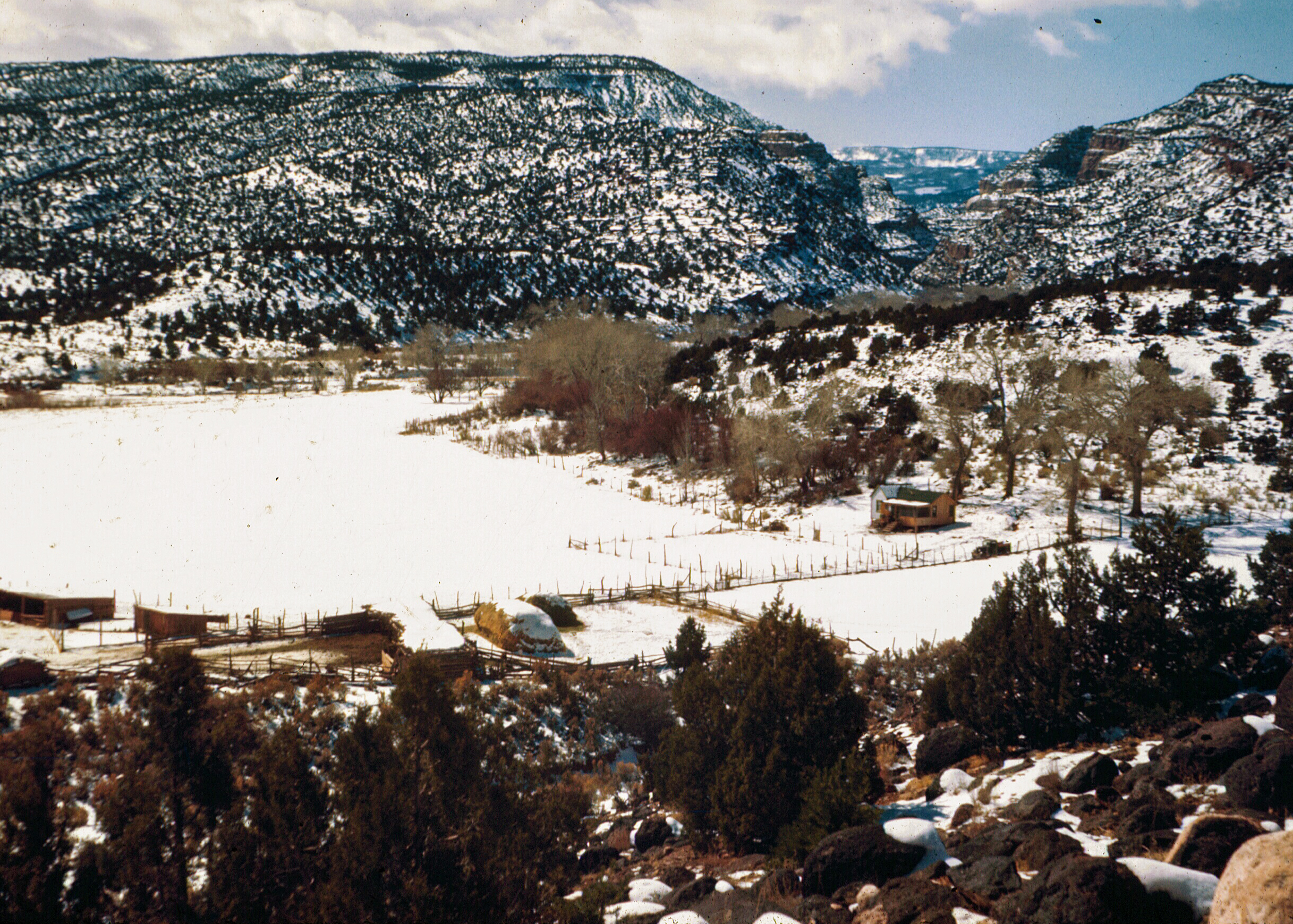 Ranch Chimney